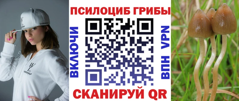 Галлюциногенные грибы Magic Shrooms MEGA маркетплейс Туринск